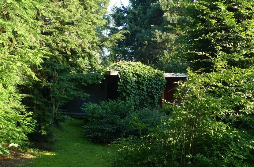 House in the greenery
